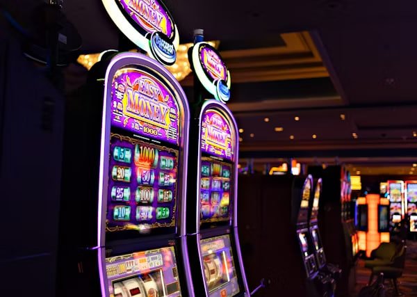 vnz6